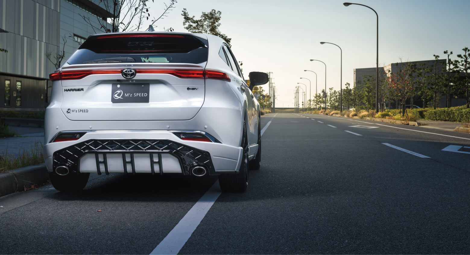 HARRIER Ver.2 Rear Image