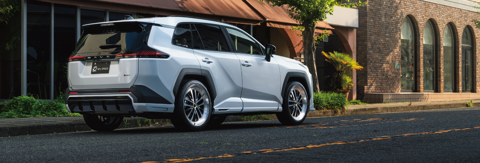 RAV4 Rear Right Image